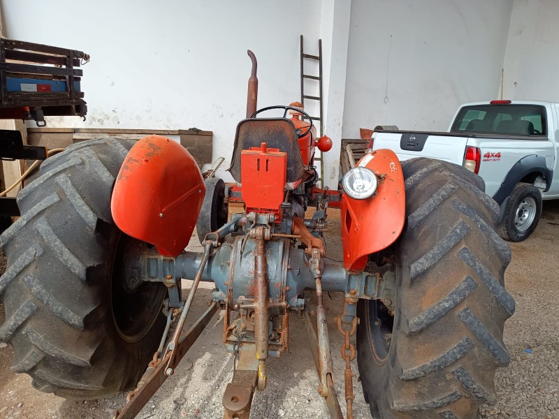 Set Denti Di Cortesia. Cartone Da 175 Kit - Linea Olja - OLJSD